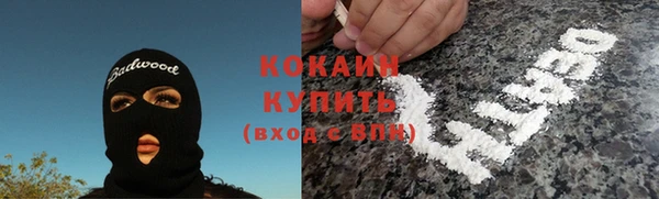 крисы Мегион