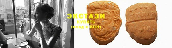 крисы Мегион