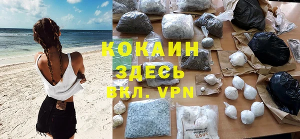 крисы Мегион