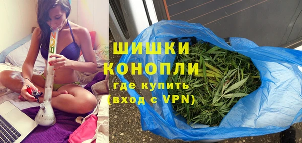 крисы Мегион