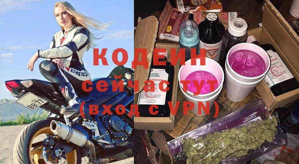 крисы Мегион