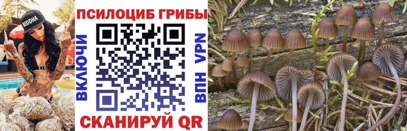 закладка  Дмитриев  Псилоцибиновые грибы ЛСД 